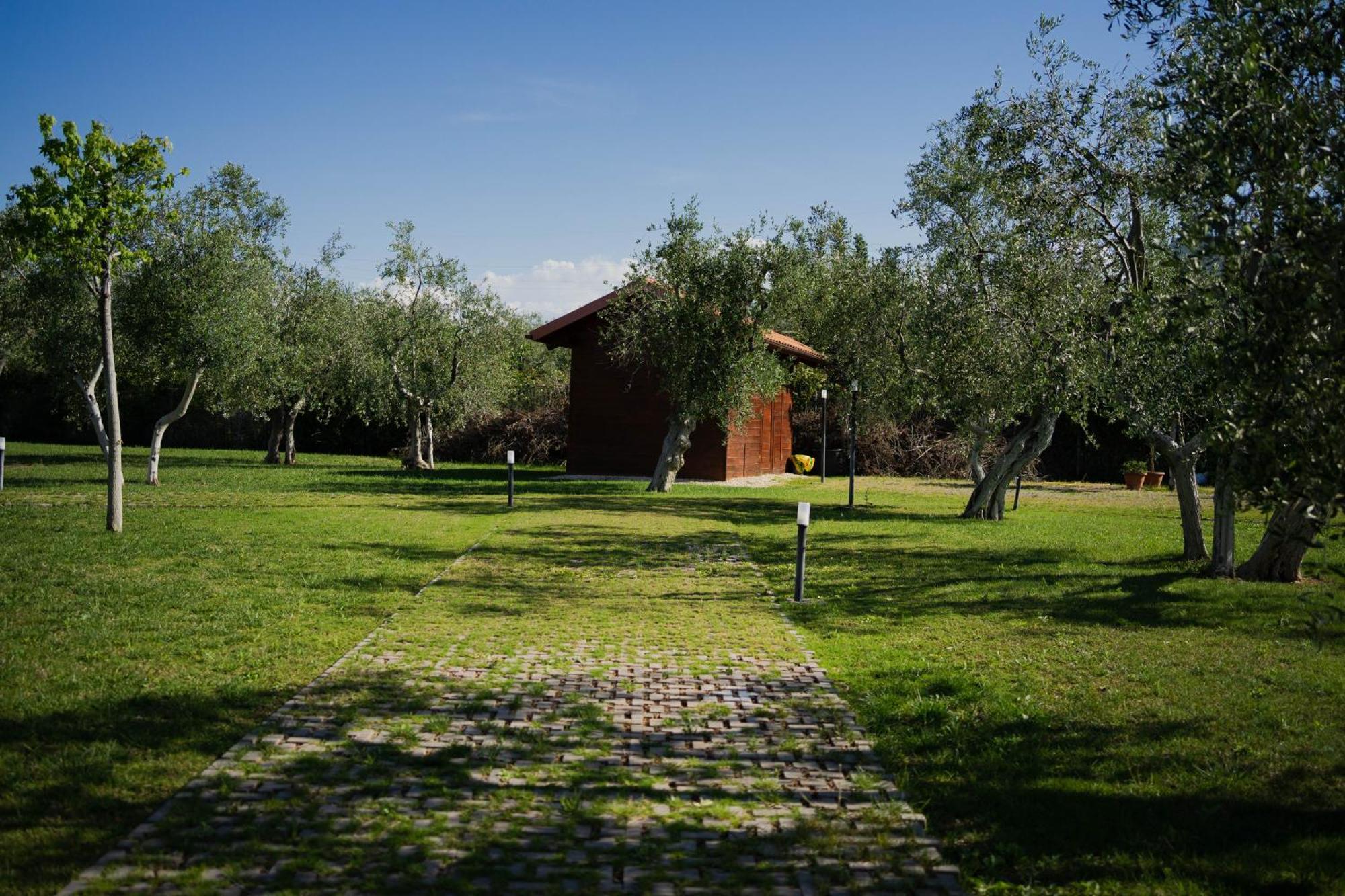 Villa Erada Bari Buitenkant foto
